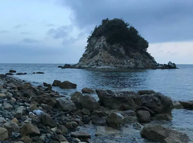 Il Roseto Redinoce * Procchio